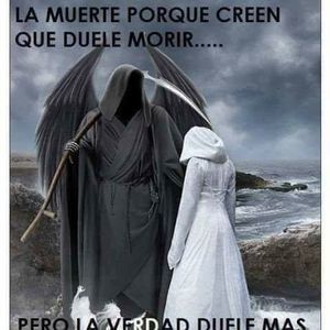 Meet your Posher, Oscar